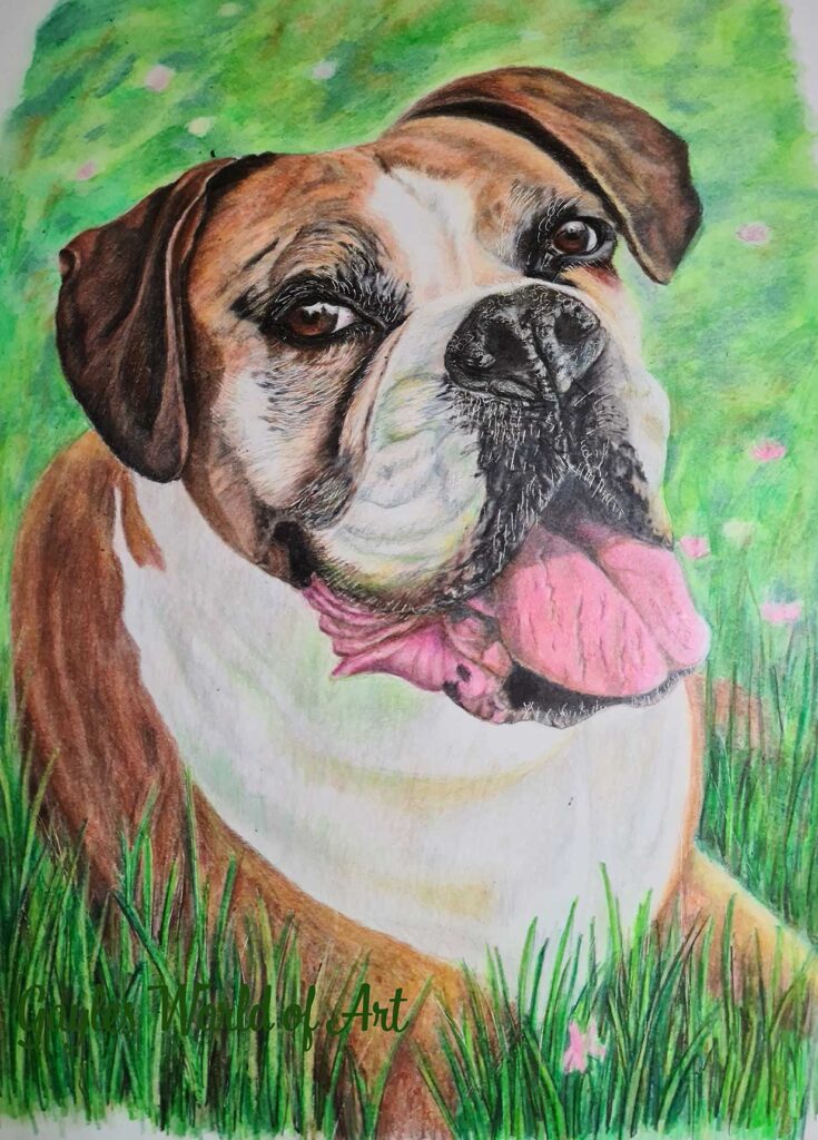 BOXER Commissioned Pet Portraits