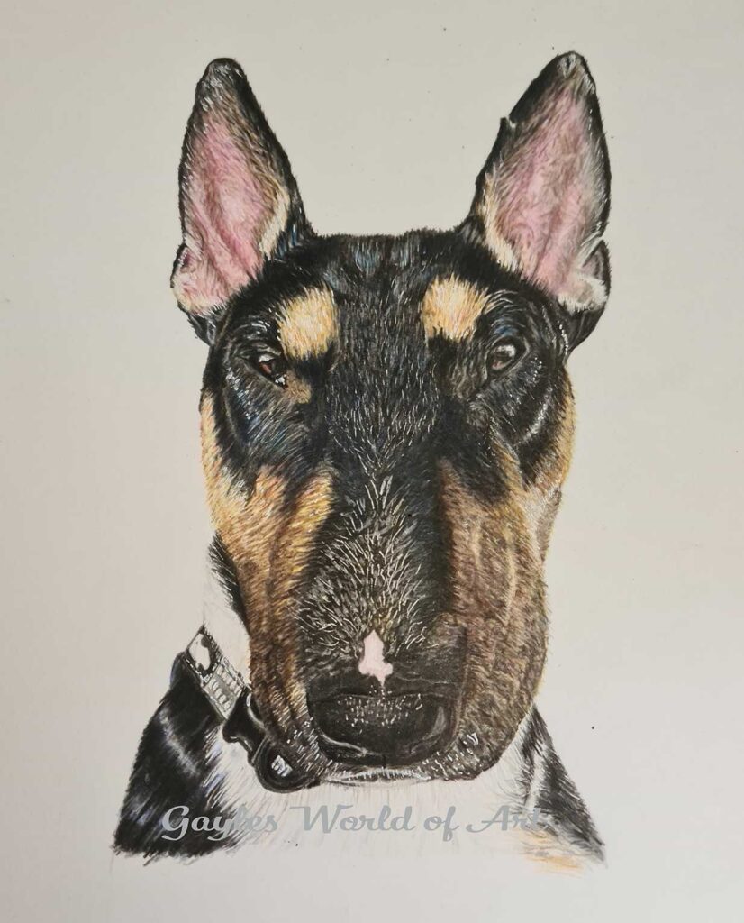 BULL-TERRIOR Commissioned Pet Portraits