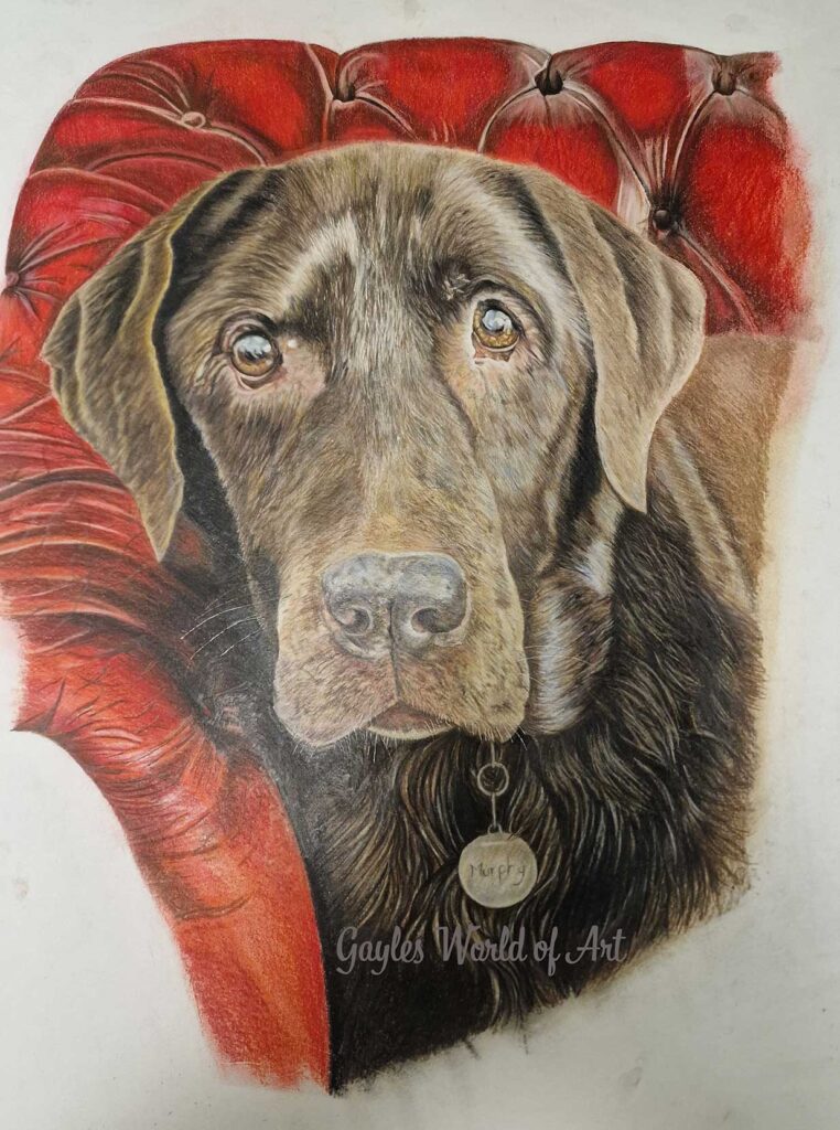 LABRADOR Commissioned Pet Portraits