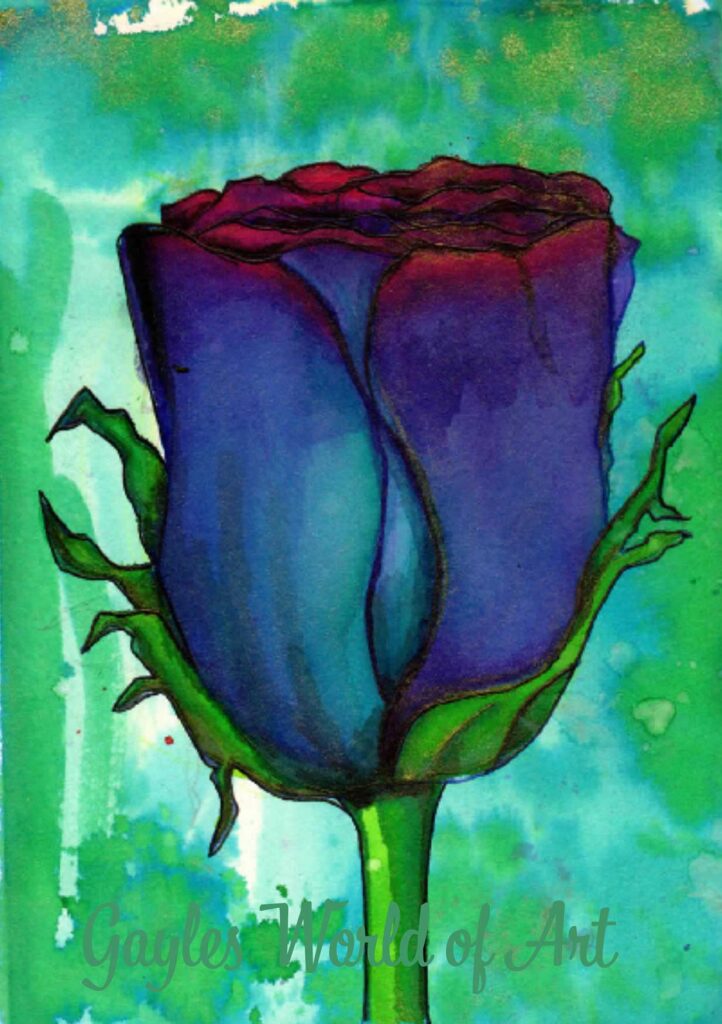 blue rose blue rose