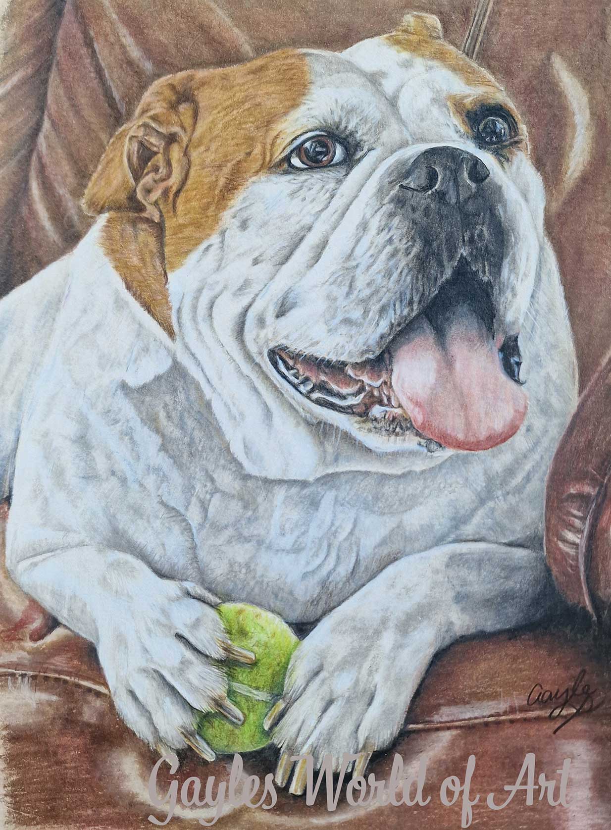 bulldog Commissioned Pet Portraits